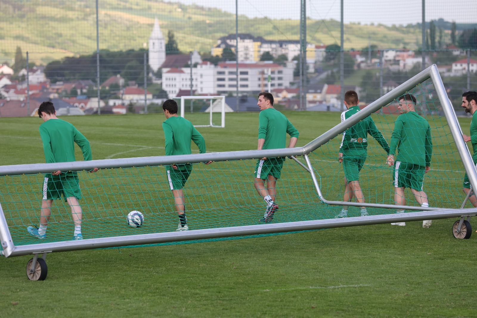 Training MSV 2020